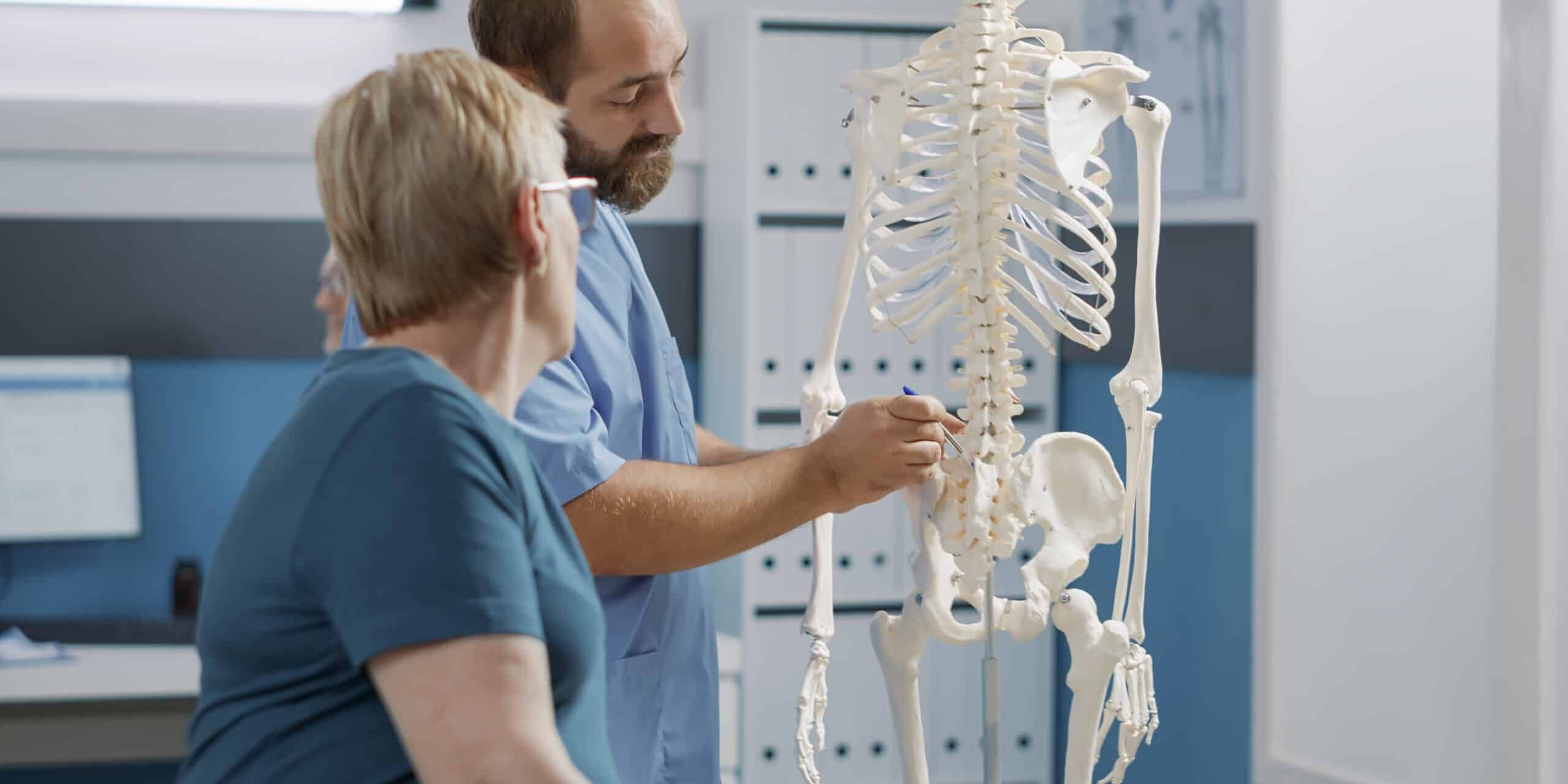 Male doctor pointing at human skeleton to show spinal cord