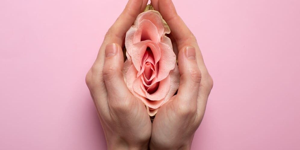 woman-holding-rose-hands-reproductive-system-visualization (1)